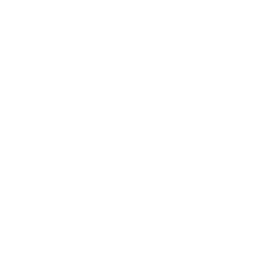 Rx Consultancy